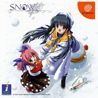 Snow Surfers