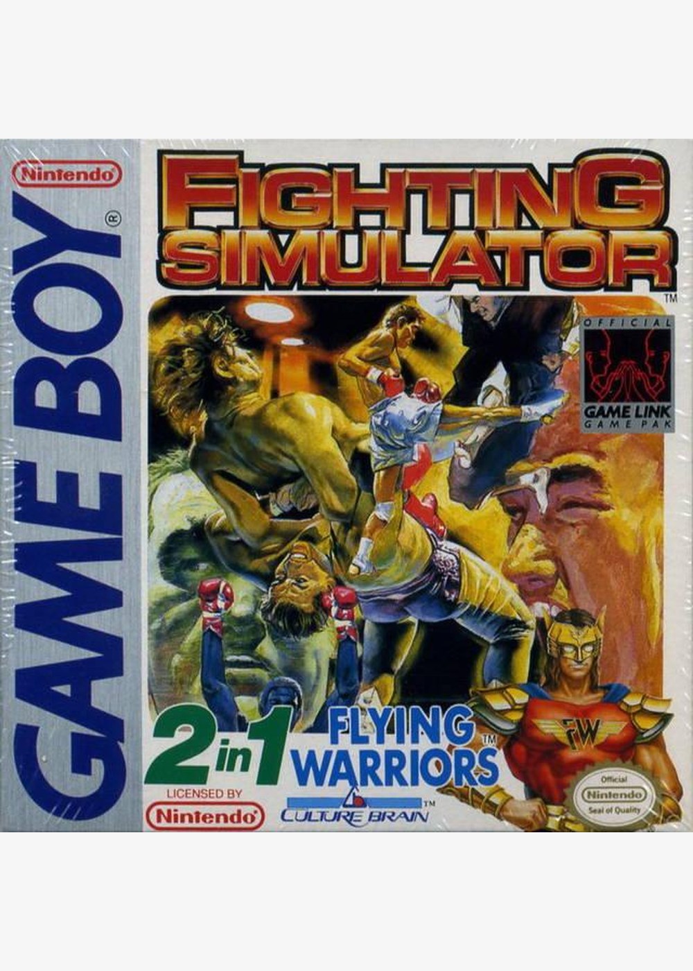 Fighting Simulator: 2-in-1 Flying Warriors