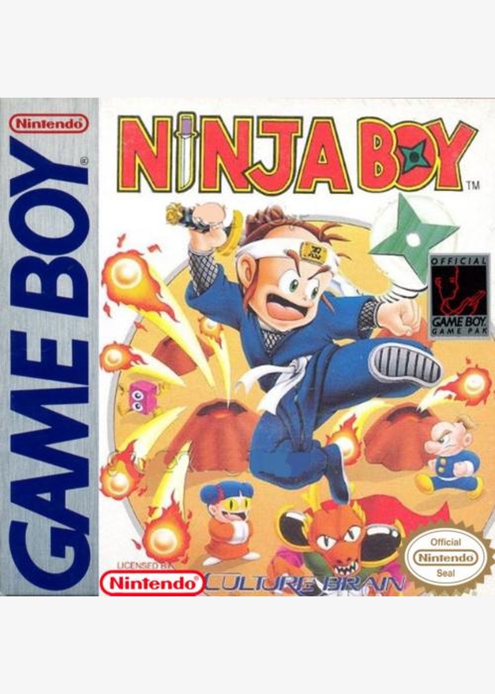 Ninja Boy