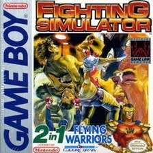 Fighting Simulator: 2-in-1 Flying Warriors