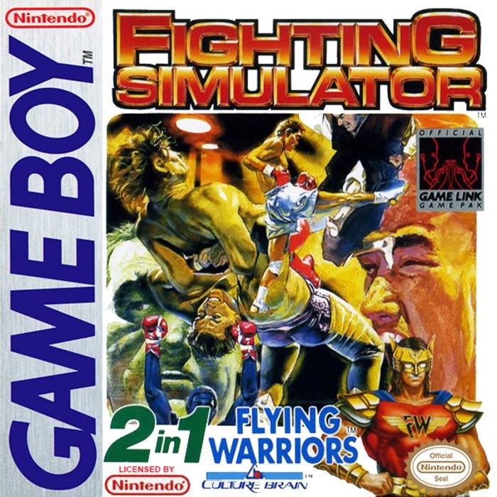 Fighting Simulator: 2-in-1 Flying Warriors
