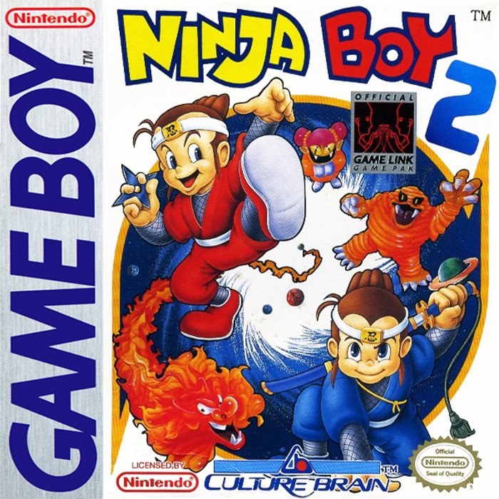 Ninja Boy 2