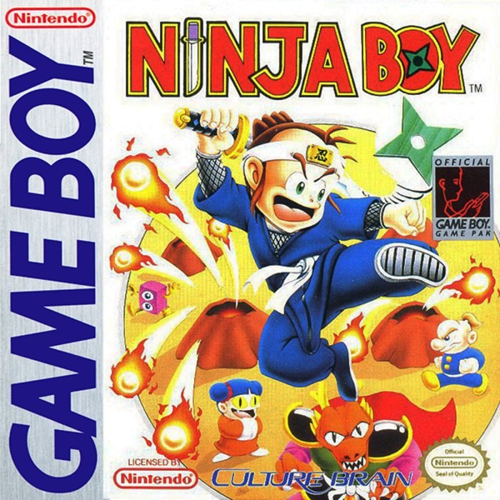 Ninja Boy 2