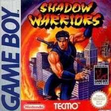 Ninja Gaiden Shadow