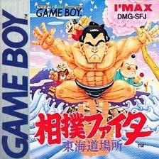 Sumo Fighter