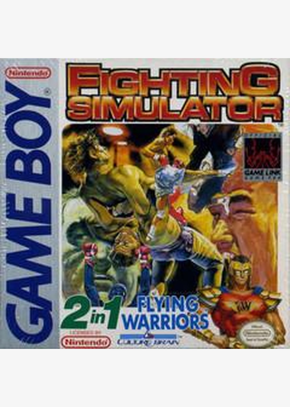 2 In 1: Flying Warriors / Fighting Simulator