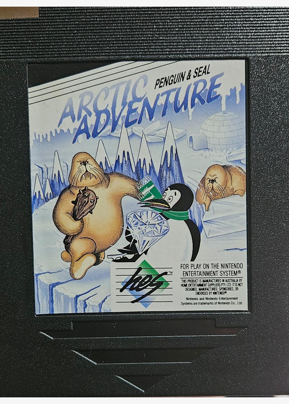 Arctic Adventure