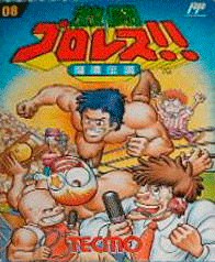 Pro Wrestling