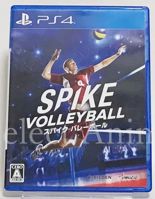 Spike Volleyball